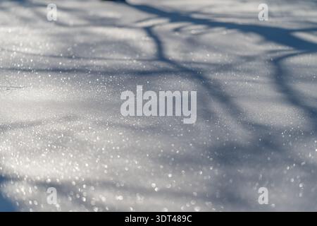 Shadows over snow. Tree branches cast icy shadows. Shadows from extended branches on white snow. Extended tree limb shadows fall across icy winter lan Stock Photo