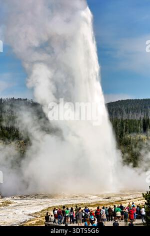 Visitors to Yellowstone National Park gather at the Old Faithful Geyser ...