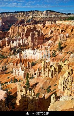 The sun rises over the unique rock formations at Sunrise Point in Bryce Canyon National Park. Visitors enjoy the scenic beauty early in the morning. Stock Photo