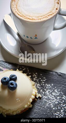Elegant white chocolate mousse dome dessert topped with fresh blueberries and a floral petal Stock Photo