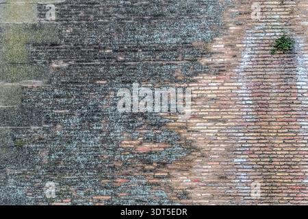 Old brick wall texture with weathered surface and green moss. Ancient masonry background with natural erosion and a small plant growing in the cracks Stock Photo