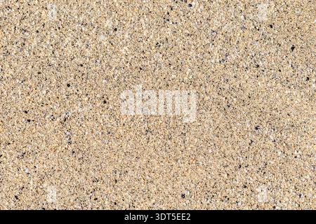 High-angle view of a natural beach sand texture with a mix of colorful small pebbles and golden grains. Authentic organic background Stock Photo
