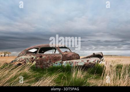 Old Rusted Car Deep in Prairie Grasses -  South Dakota Badlands Stock Photo