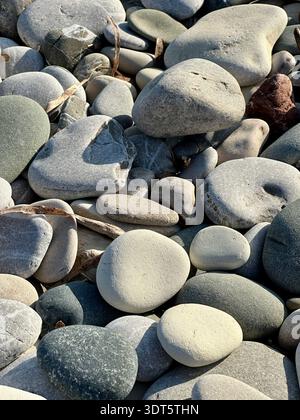 Smooth beach pebbles fill the frame with soft grey, green and cream tones, shaped by waves into a natural stone mosaic Stock Photo