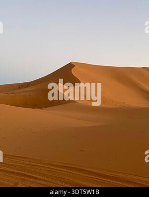 Golden desert dunes curl like frozen waves under a pale sky, shaped by wind and silence Stock Photo
