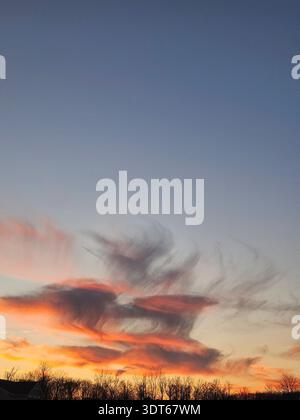 EDITORIAL USE ONLY- Amelia Ohio:   ​A dramatic sunset sky featuring wispy, wind-swept cirrus clouds illuminated in vibrant orange and pink hues. The ethereal cloud formations create a striking contrast against the deepening blue dusk sky above a dark silhouette of a deciduous treeline and suburban rooftops. Stock Photo
