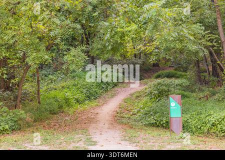 Dirt path winds through dense forest foliage. Stock Photo