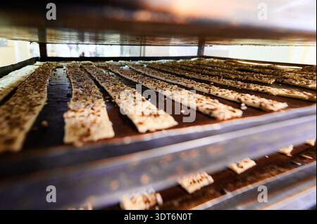 Delicate raw crackers prepared for baking on a metal tray awaiting the heat of the oven Stock Photo