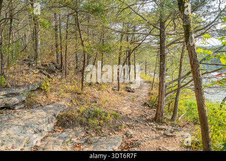 Narrow dirt path winds through dense pine forest toward scenic lakeside overlook with rocky terrain and autumn foliage. Stock Photo