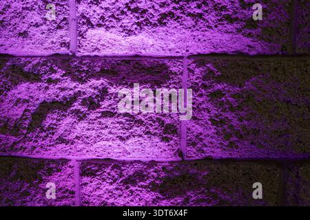 Close-up of rough brick wall illuminated by vibrant purple light highlighting stone texture and abstract pattern Stock Photo