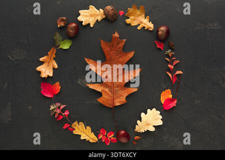 Collage of Autumn Leaves and Chestnuts Arranged in a Circular Set on a Dark Surface Stock Photo