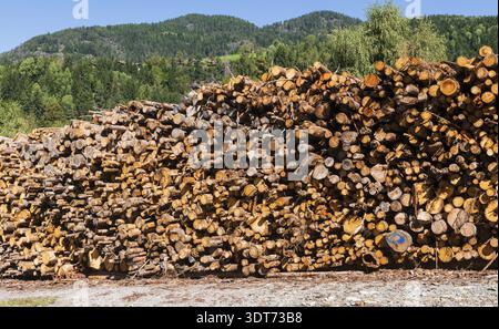A massive horizontal stack of freshly cut logs in an outdoor timber yard. In the background, there are lush green forests and a rising hill under a br Stock Photo