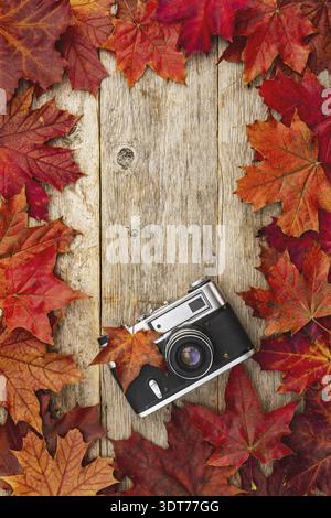 Old camera and red autumn maple leaves, top view Stock Photo