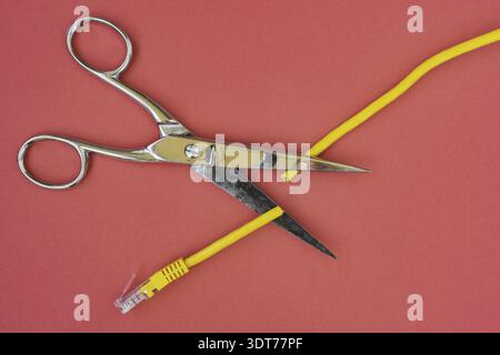 Scissors cutting the yellow network cable. Prohibit and restrict access to the internet, limit internet connection concepts Stock Photo
