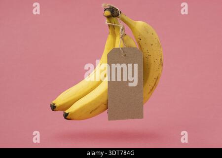 Bunch of bananas with a blank tag levitating on a pink background Stock Photo