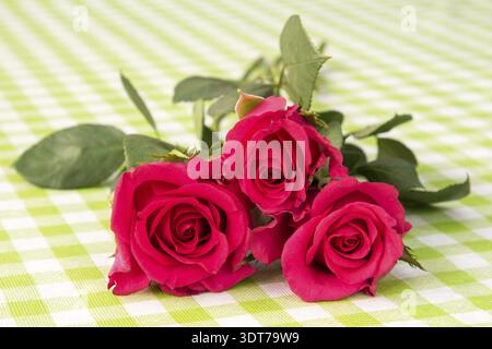 Bouquet of red roses on table with checkered tablecloth Stock Photo