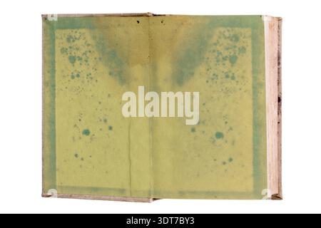 Old blank open book isolated on white background. Very textured green pages, ready to be filled with text and images Stock Photo