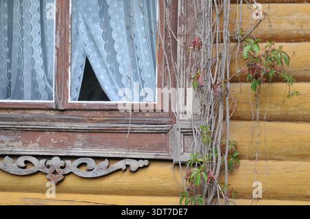 Close-up of a carved wooden window frame and climbing ivy on a log wall. Detail from the 19th-century Potocki hunting lodge in Julin, Poland. Stock Photo