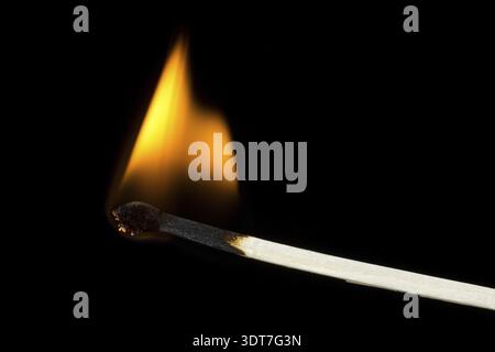 Burning flame on a matchstick over a black background Stock Photo