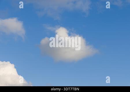 Single cumulus cloud floating in clear blue sky as clean background for creative projects and sky replacement, soft daylight illumination smooth gradi Stock Photo