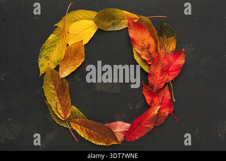 Collection of Autumn Leaves Arranged in a Circle on a Dark Background for a Mosaic Design Stock Photo