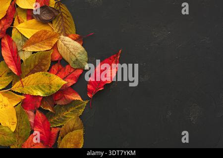 Colorful Leaves Create a Bright Collage on a Dark Surface During Autumn Stock Photo