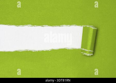 Green paper torn to reveal white paper background ideal for copy space Stock Photo