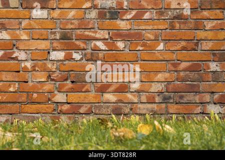 Old red brick wall background with green grass Stock Photo