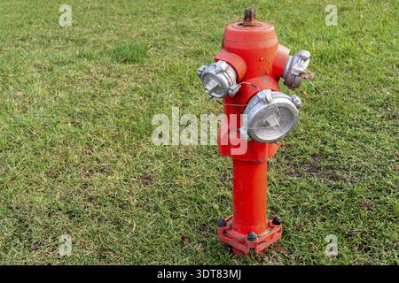 A bright red fire hydrant stands on a green lawn Stock Photo