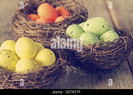 Three nests with painted eggs on wooden background. Close-up view with selective focus Stock Photo