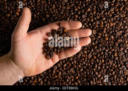 Close up shot of a hand full of coffee beans over a background of beans representing quality control and artisanal harvest. Stock Photo