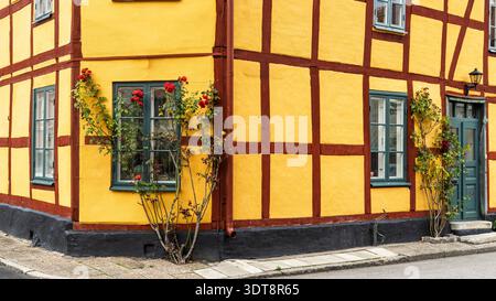 Scenic street view with red roses growing along half-timbered yellow houses in picturesque town Ystad, Skane lan at South coast of Sweden Stock Photo