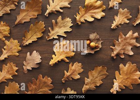 Collection of Autumn Leaves Arranged on a Wooden Surface in a Creative Pattern Stock Photo