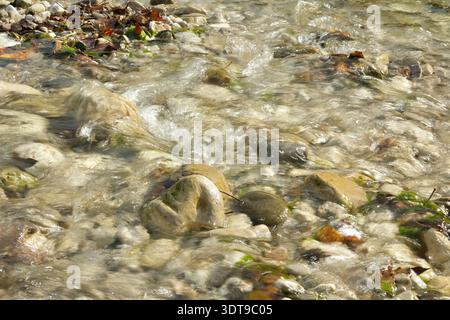 Natural Riverbed Texture with Smooth Pebbles. Stock Photo