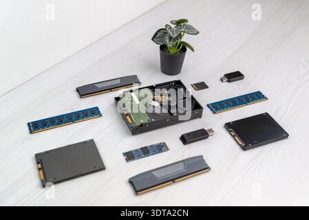 Collection of computer storage devices including hard drive, RAM memory, SSD and USB flash drives arranged on clean wooden desk Stock Photo