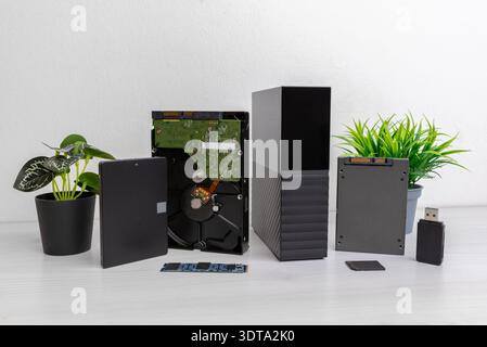 External storage drive, open hard disk, SSD and memory modules arranged on desk with decorative plants, modern data storage setup Stock Photo