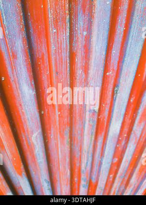 Macro view of a weathered corrugated iron fence with intense oxidation and flaking orange paint layers in Budapest Hungary February 2026 perfect for t Stock Photo