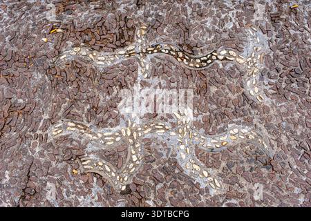 a cobblestone pavement featuring an intricate, symmetrical pattern with alternating dark and light stones forming a geometric design. Stock Photo