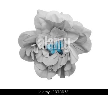 a grayscale paper flower with multiple layered petals, centered on a white background. A vibrant blue butterfly with delicate, semi-transparent wings Stock Photo