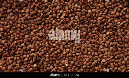 A background of roasted organic buckwheat groats. Close up. Stock Photo