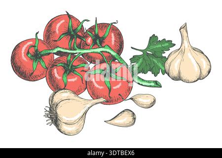 Composition of the tomatoes, garlic and parsley in ink. Vector colored ink styled handmade illustration. For packaging design, cards, cover, prints Stock Vector