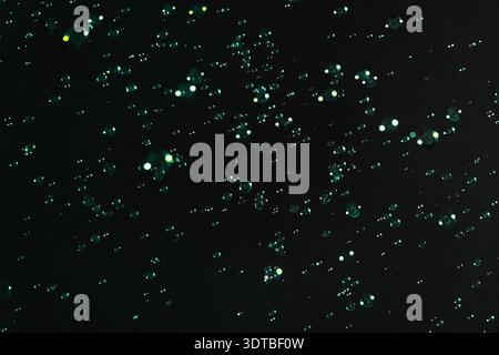 Soap bubbles on the dark background Stock Photo