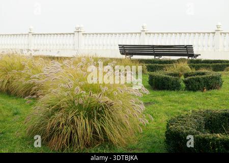 A solitary park bench sits amidst lush greenery and decorative plants, offering a peaceful spot for contemplation in an overcast outdoor setting Stock Photo