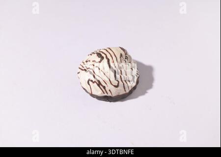 chocolate cookies broken isolated on white background with full depth of field. Top view. Flat lay Stock Photo