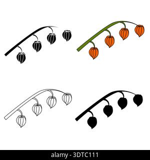 Physalis branches in various styles. Vector illustration isolated on white background. Stock Vector