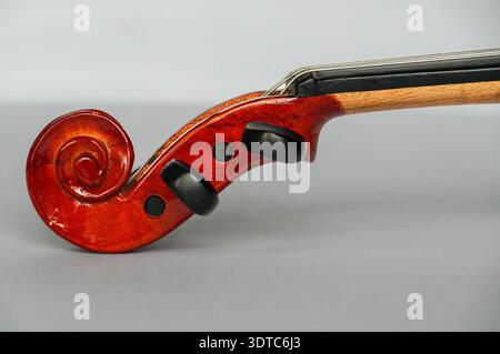 violin on a white background, close-up of a violin Stock Photo