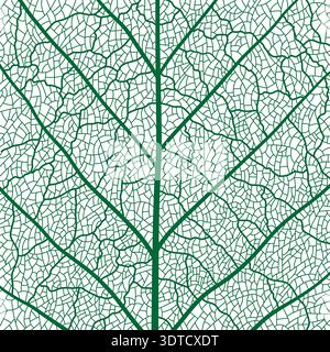 Green tree leaf veins texture pattern with cells Stock Vector