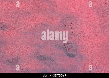 Pink cracked surface with an intricate network of irregular fissures creating a textured, weathered appearance Stock Photo