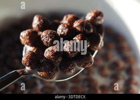 Brown cereal balls in milk on a spoon ready to eat Stock Photo