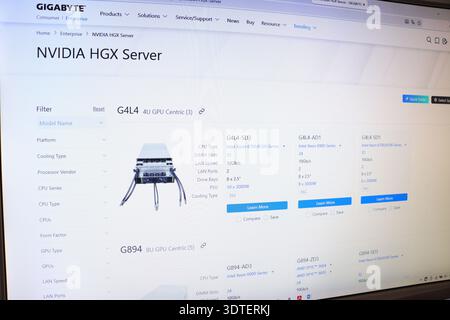 Computer monitor displaying information about server hardware. Screen shows server specifications for data center and technology infrastructure planni Stock Photo